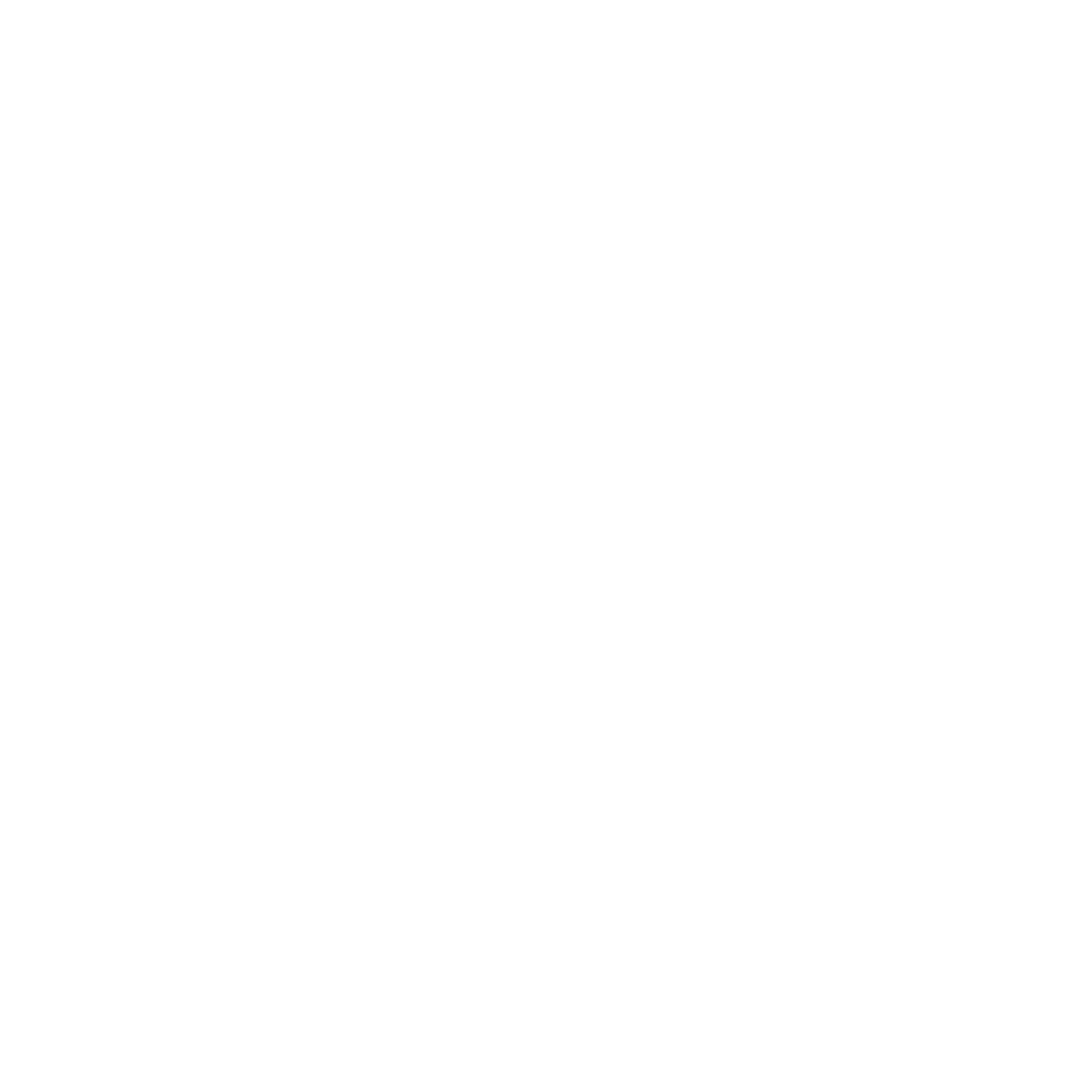 FNB Logo